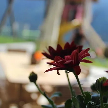 Alpenbauernhaus Konzett *